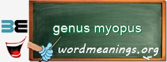 WordMeaning blackboard for genus myopus